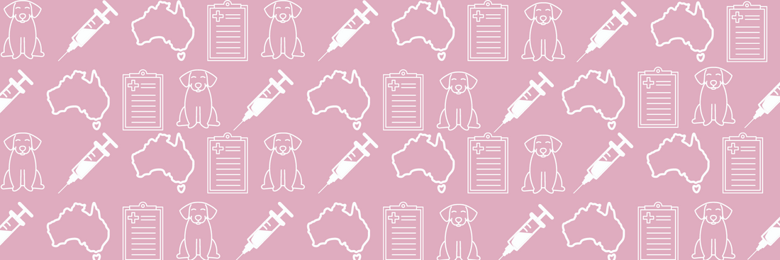 Veterinarian Services in Australia - Keeping our Animals Happy and Healthy