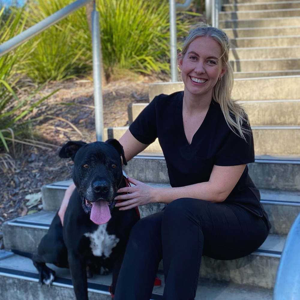The Best Scrubs for Veterinarians