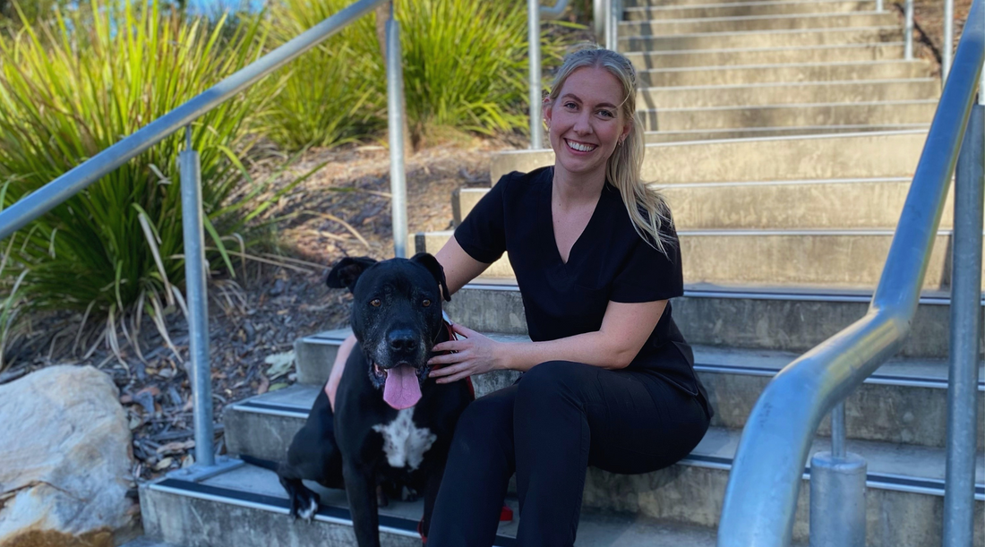 The Best Scrubs for Veterinarians